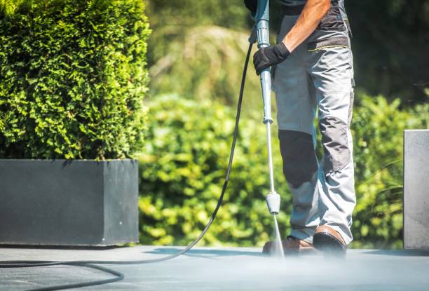 Best Roof Washing  in University Park, MD